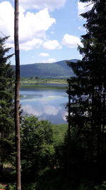 Scenic view of lake in forest against sky