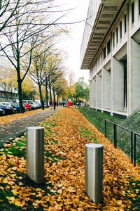 Surface level of footpath by buildings in city