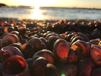 Close-up of sea against sky at sunset