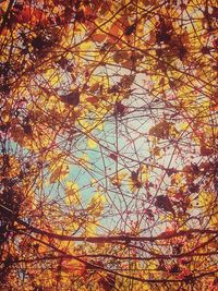 Low angle view of tree against sky during autumn