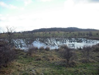 Scenic view of lake against sky