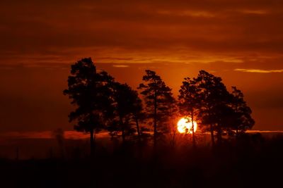 Silhouette trees on field against romantic sky at sunset