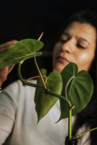 Close-up of plant