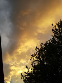 Low angle view of silhouette trees against sky during sunset