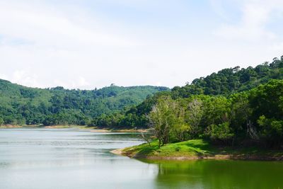 Scenic view of river amidst trees against sky