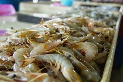 Close-up of fish for sale in market