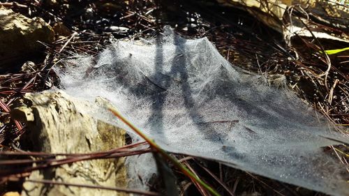 Close-up of water