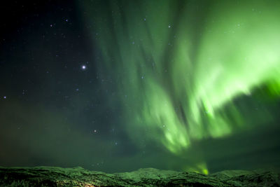 Aurora polaris landscape against sky at night