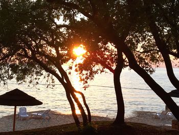 Tree by sea against sky during sunset