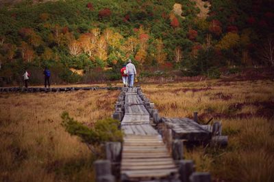 Rear view of a man in autumn leaves