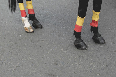 Low section of women standing on road
