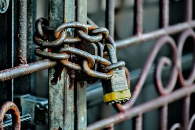 Close-up of padlock on metal gate