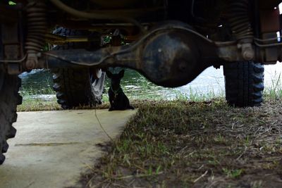 Low section of horse cart on field