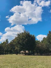 Trees on field against sky