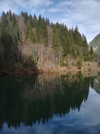 Reflection of trees in lake against sky