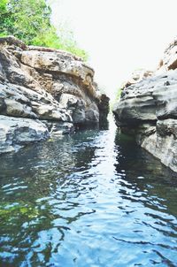 Rock formations by river in forest