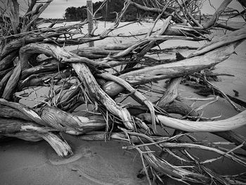 High angle view of driftwood on beach