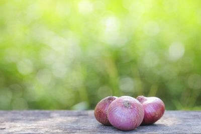 Close-up of spanish onions on table