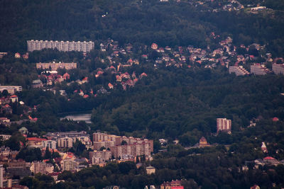 High angle view of trees and buildings in city