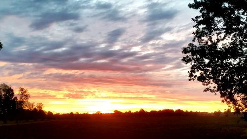 Silhouette trees against dramatic sky during sunset