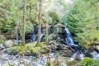 Scenic view of river flowing through rocks