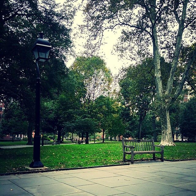 Washington Square