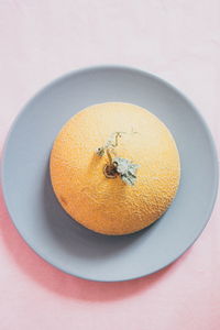 Close-up of fruit in plate