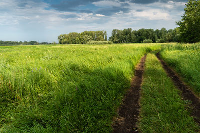 Scenic view of farm against sky