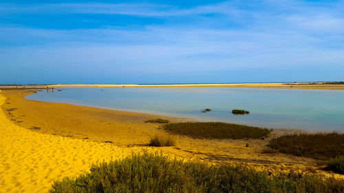 Scenic view of landscape against blue sky