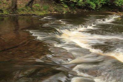 River flowing through rocks in forest