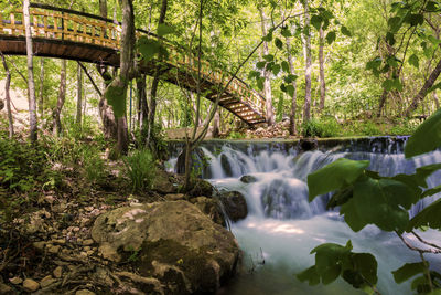 Stream flowing through rocks