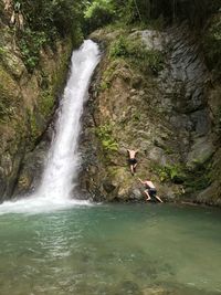 Scenic view of waterfall in forest