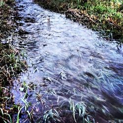water