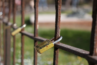 Close-up of padlock on metal fence