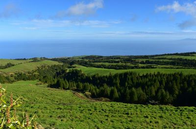 Beautiful lush green landscape of sete cidades in the azores.