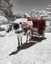 View of horse cart in snow