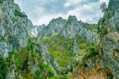 Green mountain landscape in cares trekking route, asturias