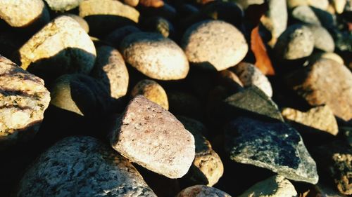 Full frame shot of logs