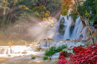 Waterfall in rain forest. tat kuang si waterfalls at luang prabang, laos.