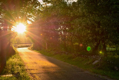 Road amidst trees against sky during sunset