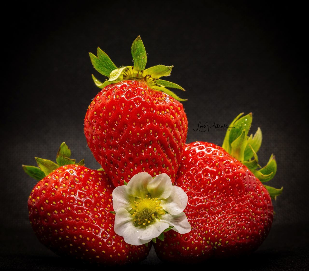 CLOSE-UP OF STRAWBERRIES IN PLATE