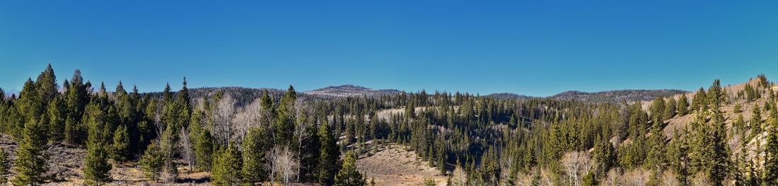 Panoramic shot of trees on landscape against clear blue sky