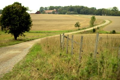 Dirt road in field