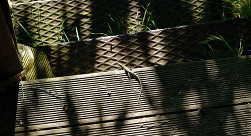Close-up of wicker basket