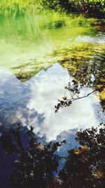 Reflection of trees in lake against sky