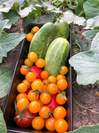 High angle view of fruits and vegetables