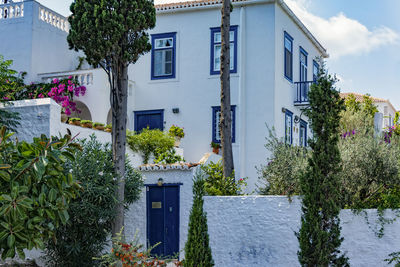 Potted plants by house against sky