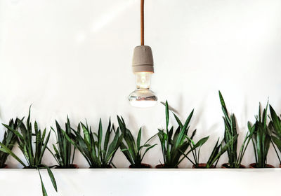 Close-up of electric lamp against white background