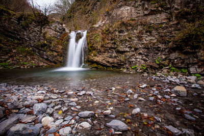 Scenic view of waterfall in forest
