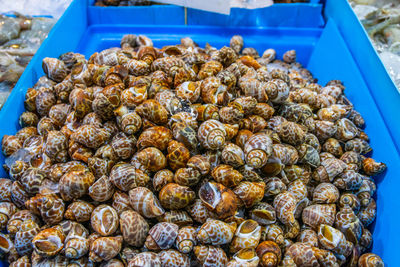 High angle view of onions for sale in market